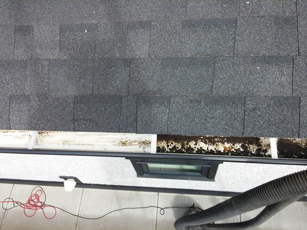 gutter cleaning commercial building