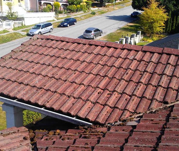 roof cleaning before
